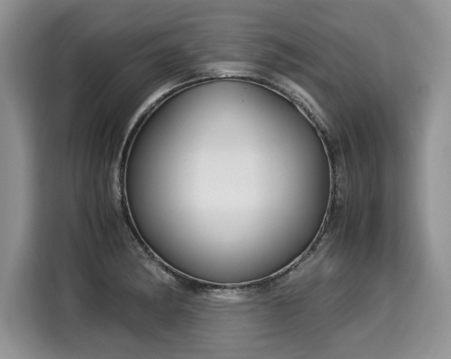 X0000116021182200911271110