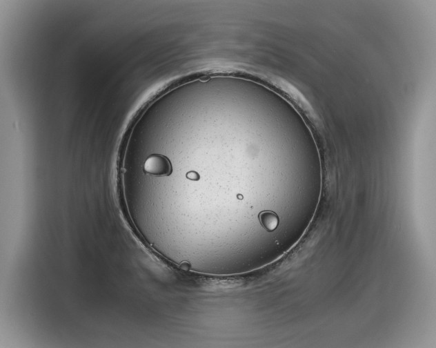 X0000116021183200911271110