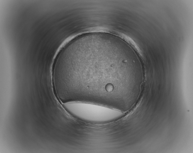 X0000116021184200911271110