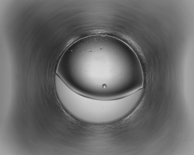 X0000116021185200911271110