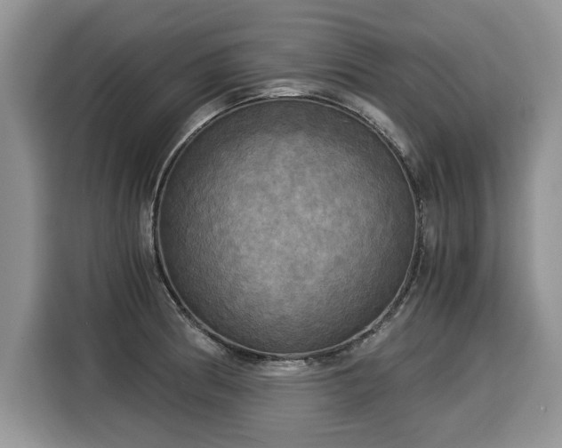 X0000116021186200911271110