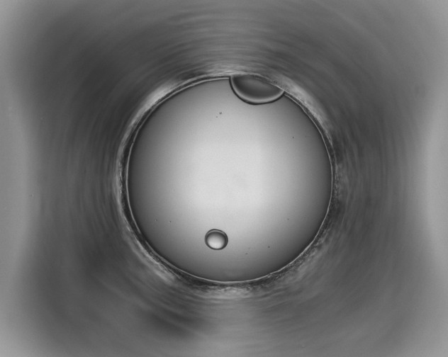 X0000116021187200911271110