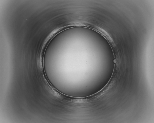 X0000116021188200911271110