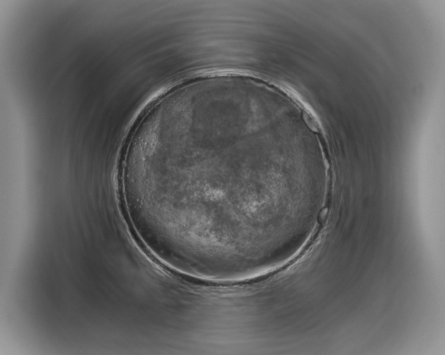 X0000116021189200911271110