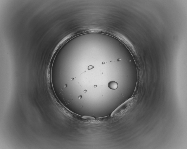 X0000116021190200911271110