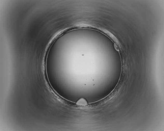 X0000116021191200911271110