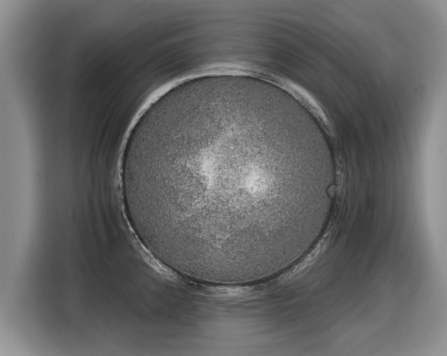 X0000116021192200911271110