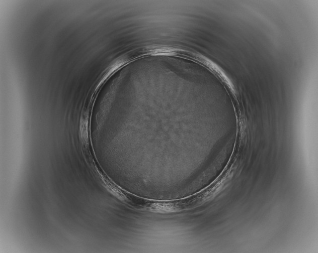 X0000116021194200911271110