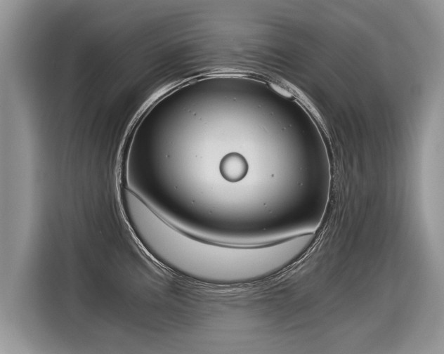 X0000116021195200911271110