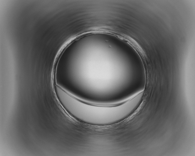 X0000116021196200911271110