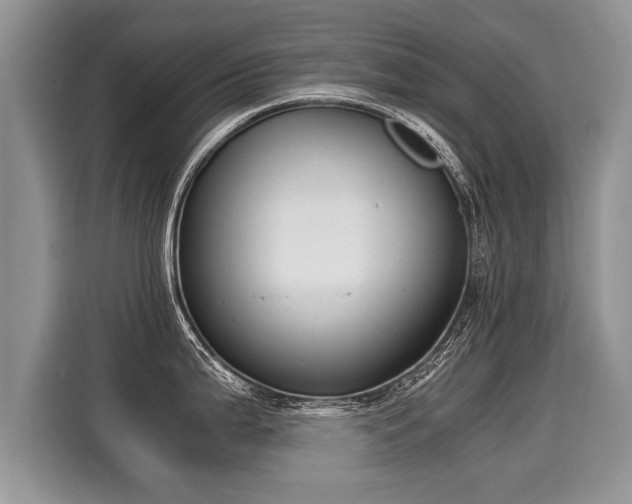 X0000116021199200911271110