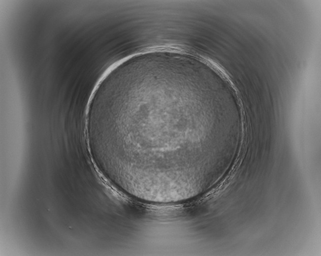 X0000116021200200911271110