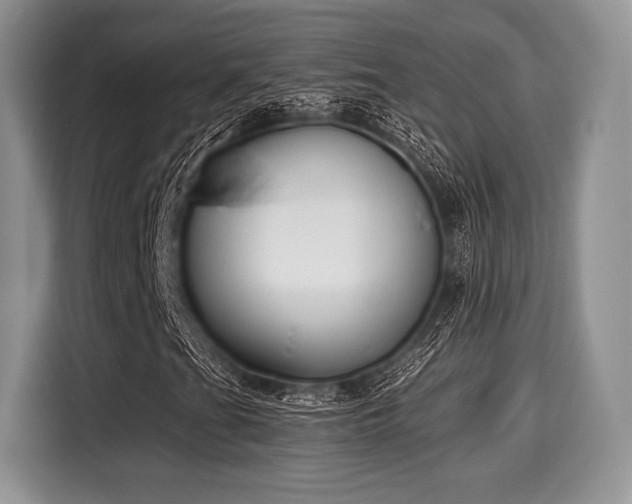 X0000116021201200911271109