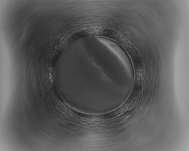 X0000116021202200911271109