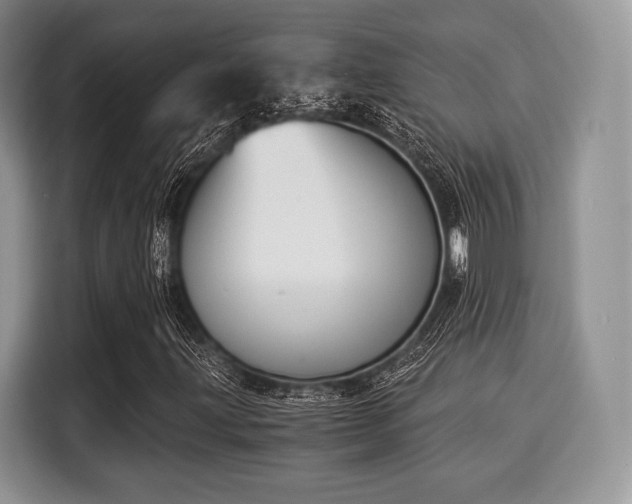 X0000116021203200911271109