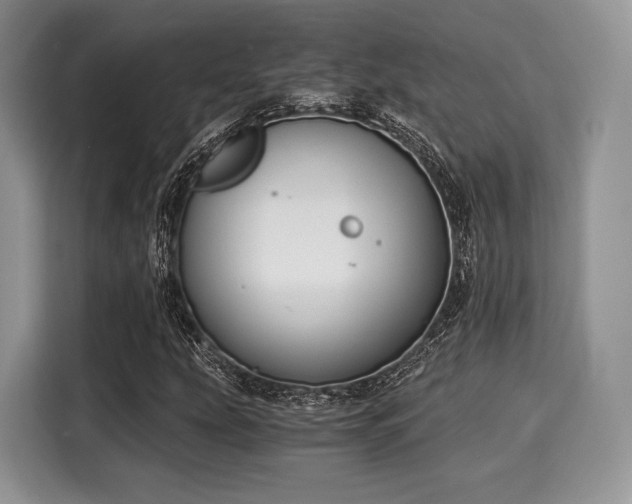 X0000116021207200911271109