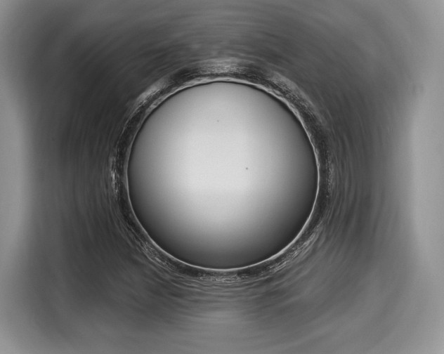 X0000116021210200911271109