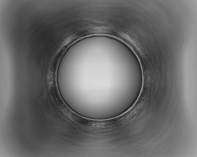 X0000116021211200911271109