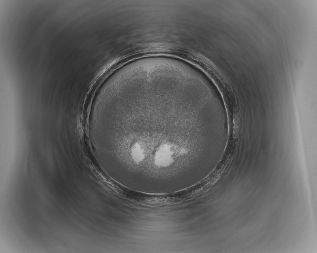 X0000116021212200911271109