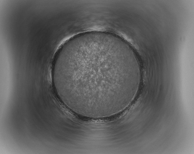 X0000116021214200911271109