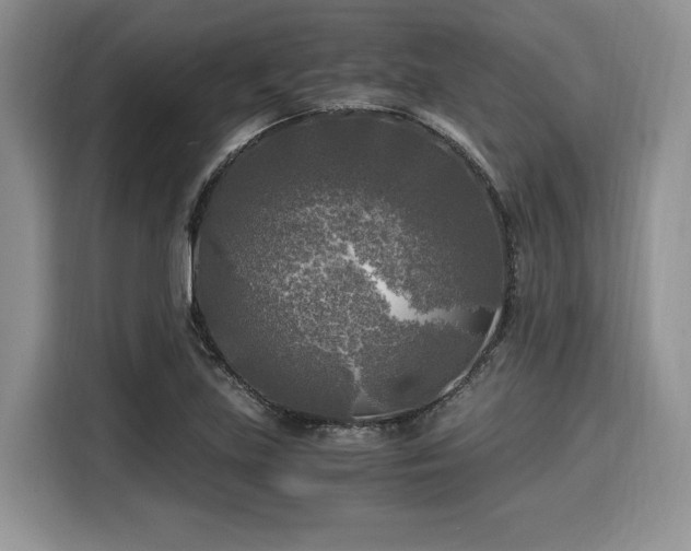 X0000116021219200911271109