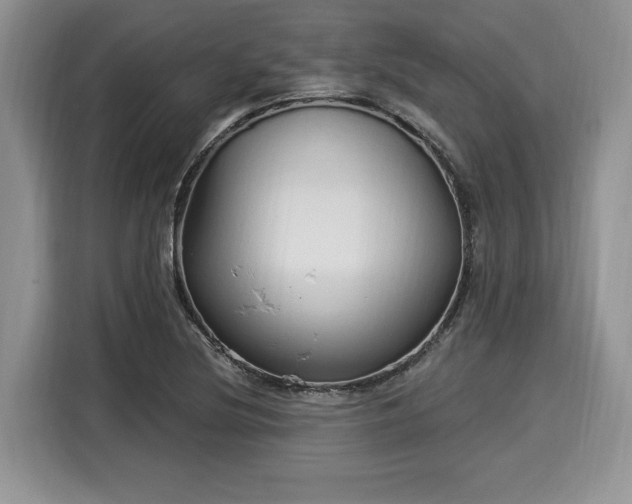 X0000116021220200911271109