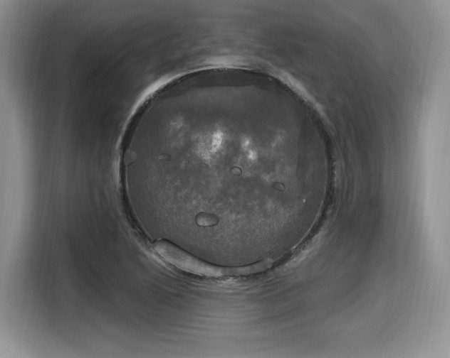 X0000116021222200911271109