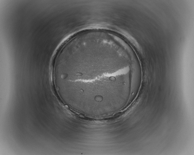 X0000116021224200911271109