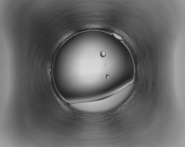 X0000116021225200911271109