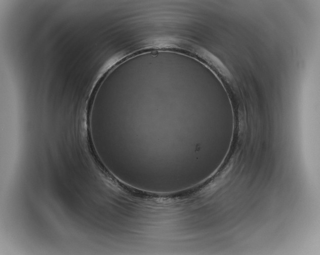 X0000116021226200911271109