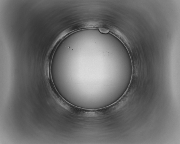 X0000116021227200911271109