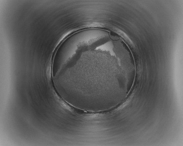 X0000116021228200911271109