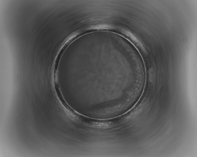 X0000116021229200911271109