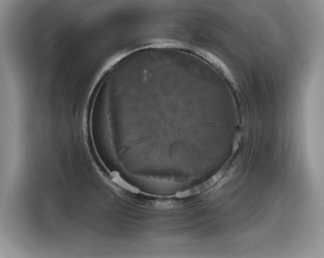 X0000116021231200911271109