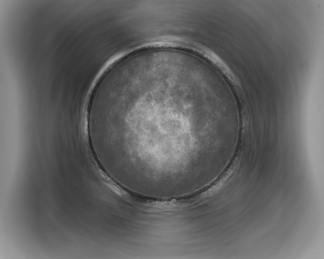 X0000116021232200911271109