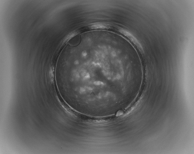 X0000116021233200911271109