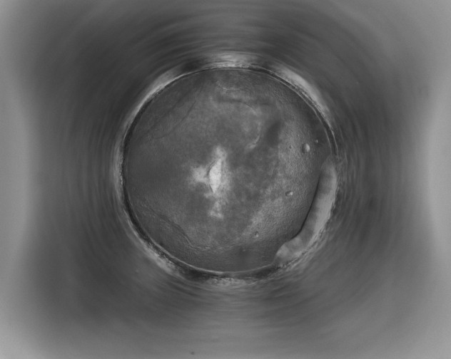 X0000116021235200911271109