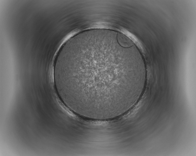 X0000116021238200911271109