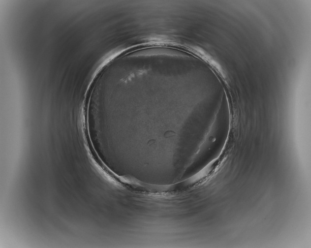 X0000116021239200911271109