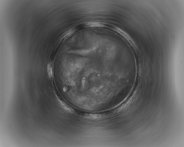 X0000116021241200911271109