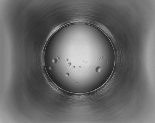 X0000116021242200911271109