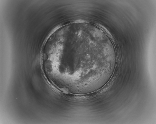 X0000116021243200911271109