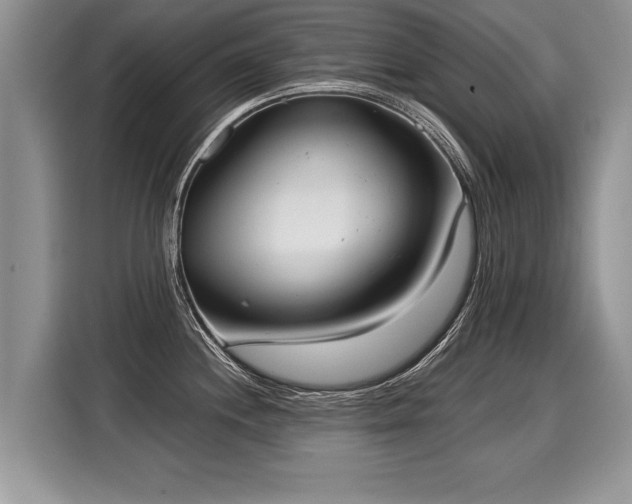 X0000116021244200911271109