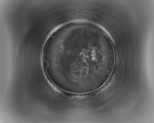 X0000116021245200911271109