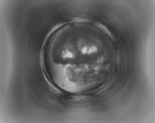 X0000116021247200911271109