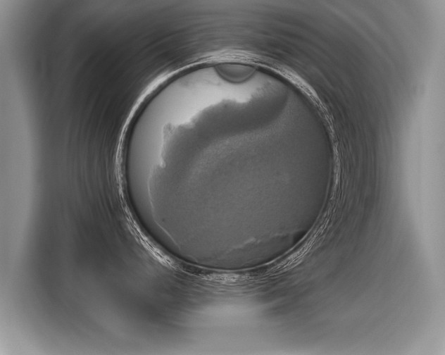 X0000116021248200911271110