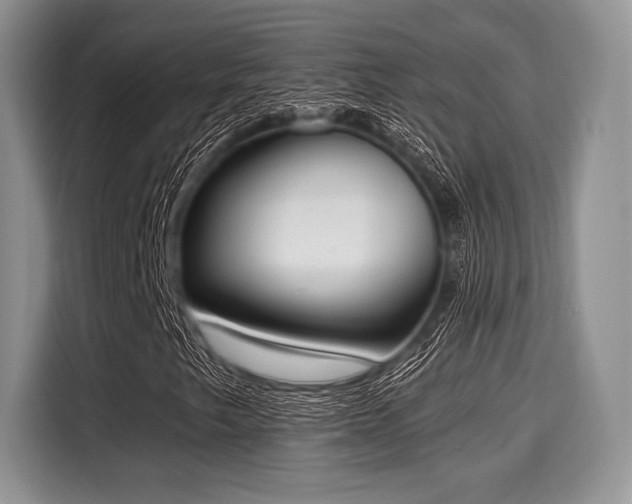 X0000116021249200911271109