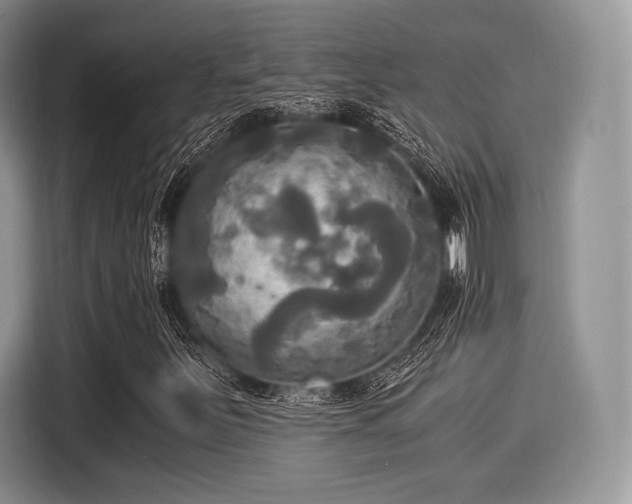 X0000116021251200911271109