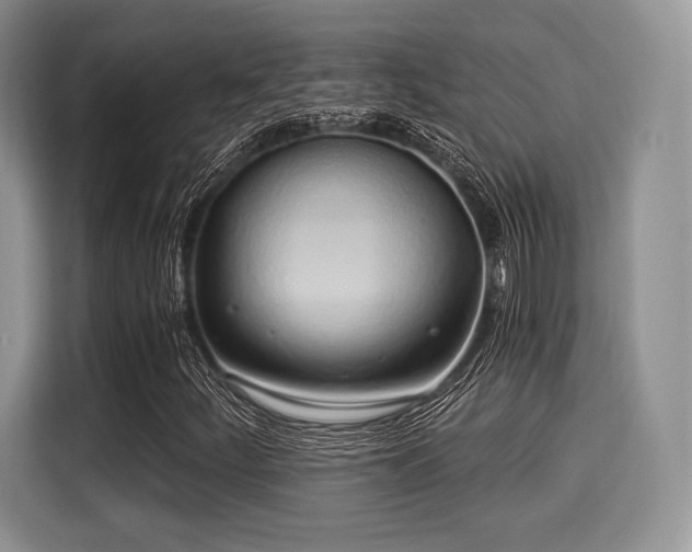 X0000116021252200911271109