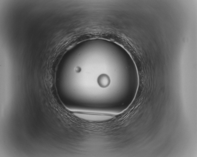 X0000116021253200911271109